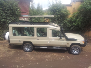 Our Safari vehicle