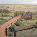 Rift Valley Photographic Lodge