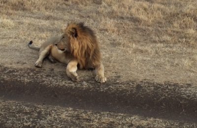 big 5 safari zanzibar beach