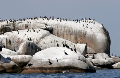 Northern Tanzania safari