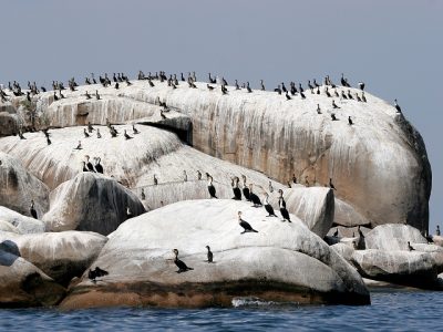 Northern Tanzania safari