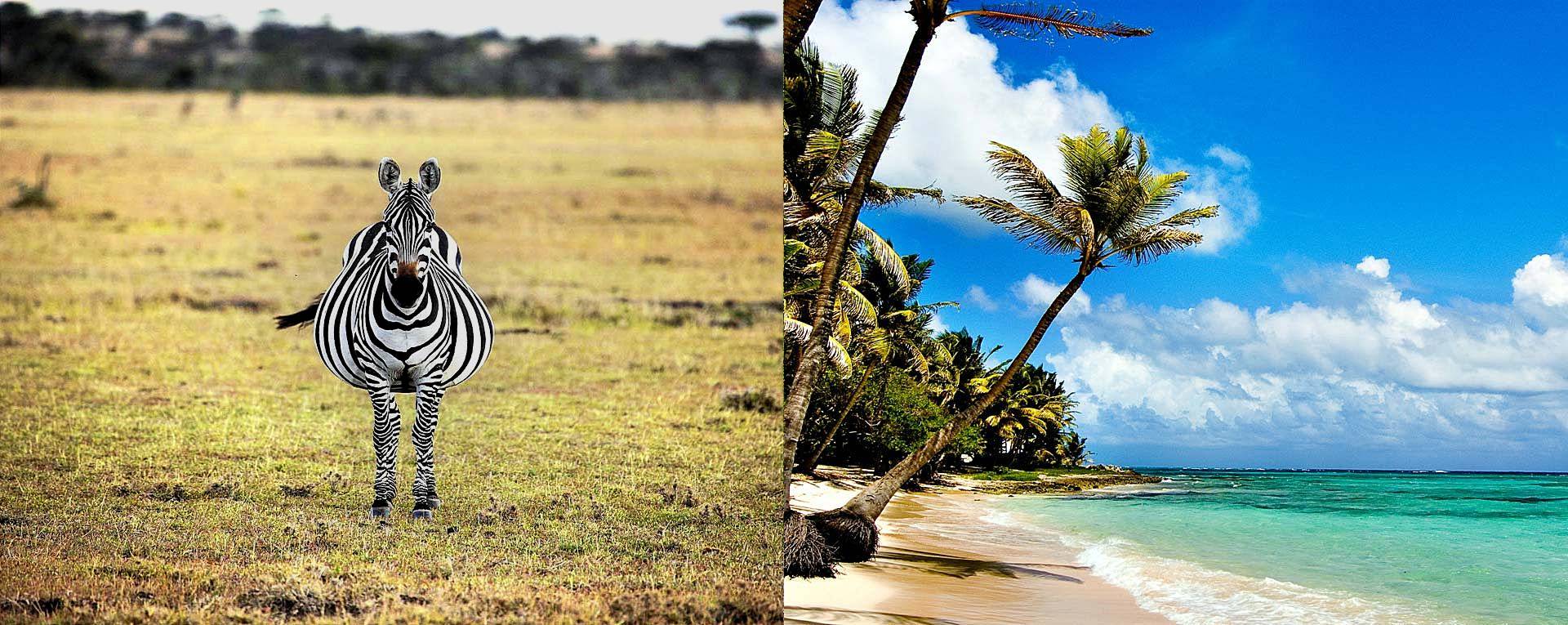 Tanzania Bush and Beach Safari Packages