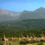 Mount Meru Trekking in Tanzania