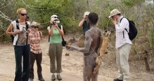 Camping Safari & Oldonyo Lengai Trekking
