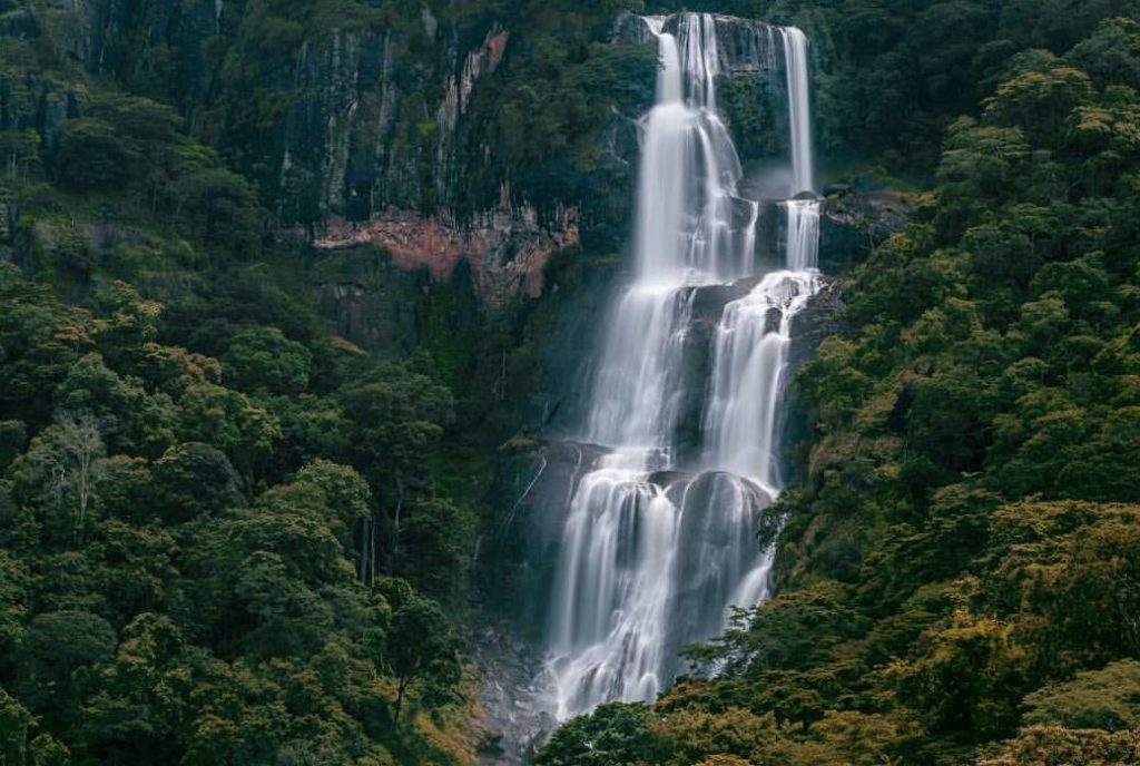 Udzungwa Mountains National Park Day Hiking