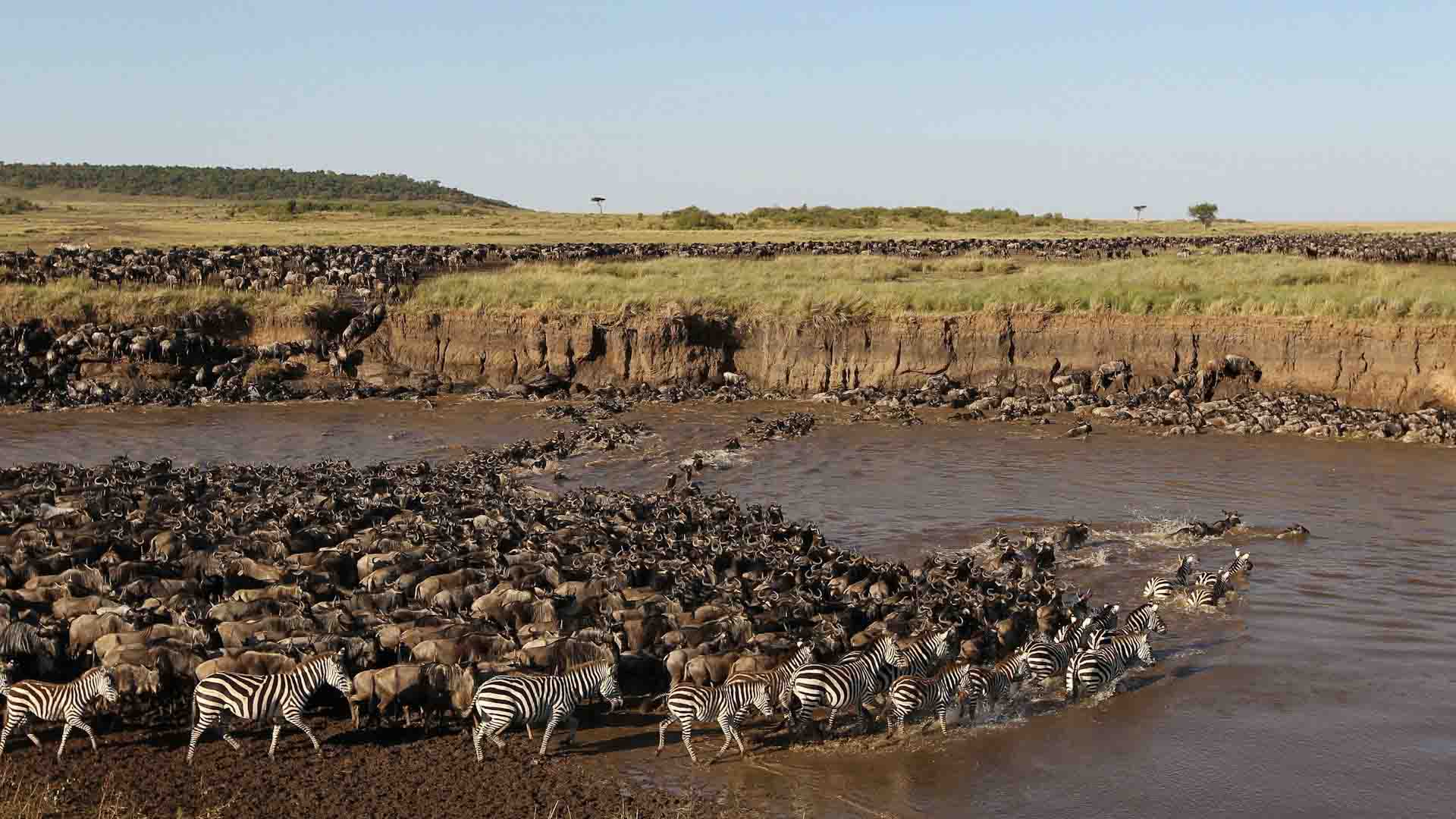 best time safari serengeti