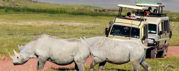 2 days Tanzania Lodge Safari Ngorongoro Crater & Tarangire Packadge