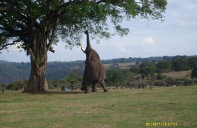 5 Days Tanzania Camping Safari