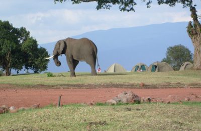 Camping Safari Ol Doinyo Lengai Trek