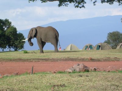 Camping Safari Ol Doinyo Lengai Trek
