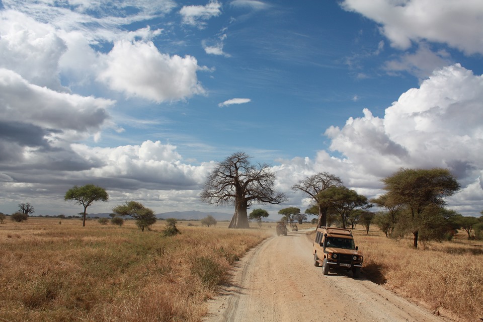 Travel Tips and Tanzania Safari Programs