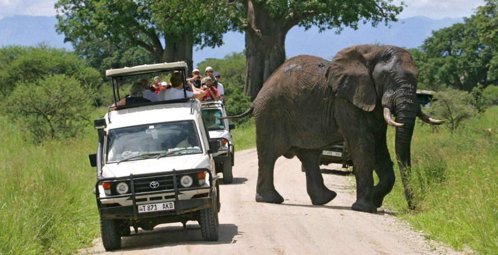 Tarangire National Park Day Trips Tours