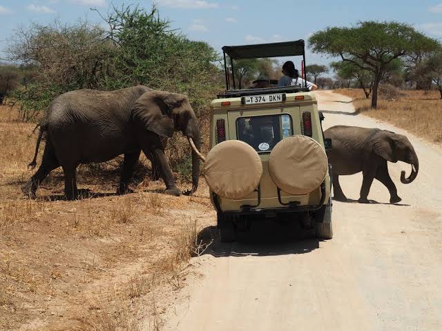 Northern Tanzania Safari From Zanzibar Islands