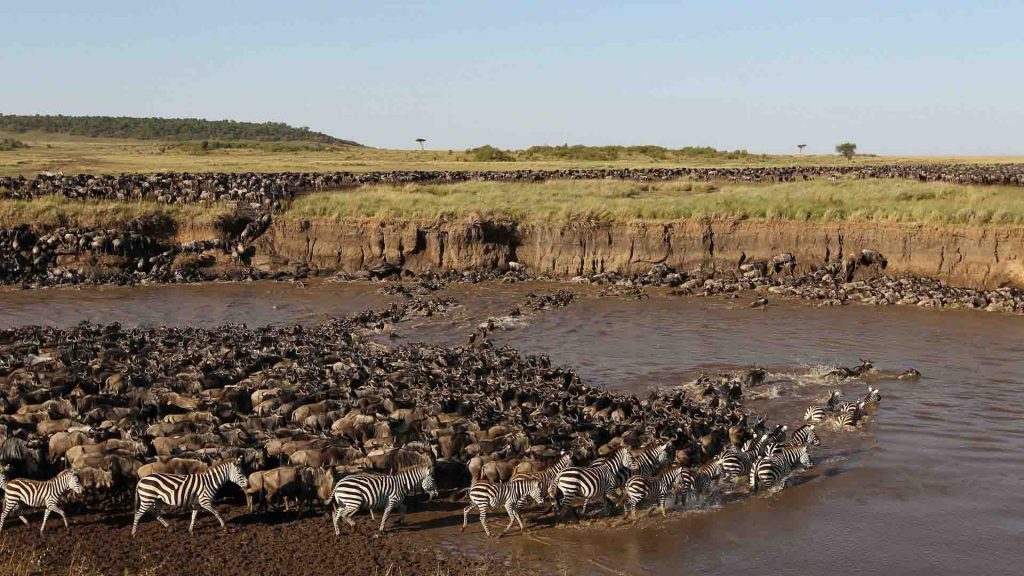 Serengeti National Park Wildebeest Migration Safari