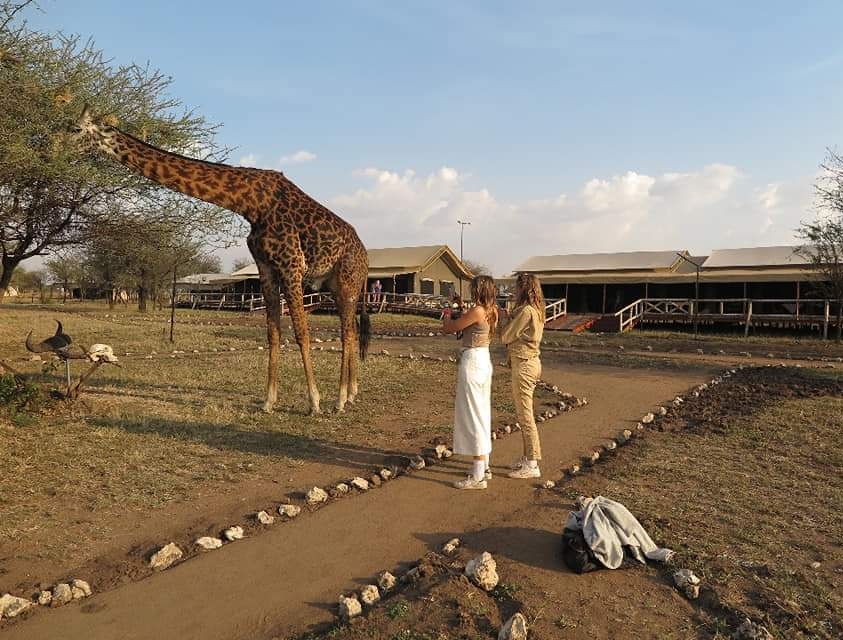 Tanzania Budget Safaris & mid-range Lodge Safari Accommodation