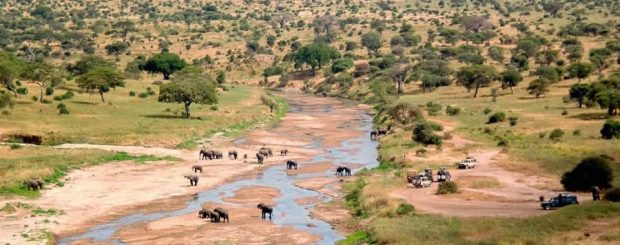 3-Day Tanzania Safari Lodge-ngorongoro-crater Tarangire Lake Manyara