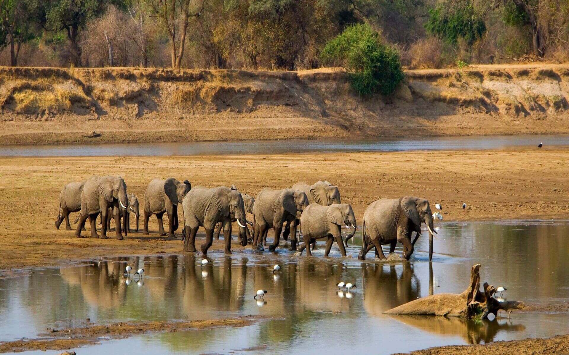 short Tanzania Safaris packages