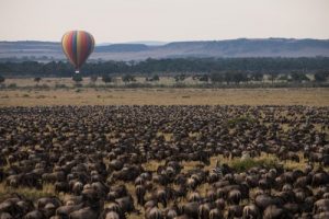 10 Days Safari Kenya and Tanzania Combined