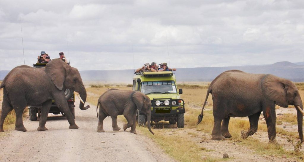 10 Days Safari Kenya and Tanzania Tours