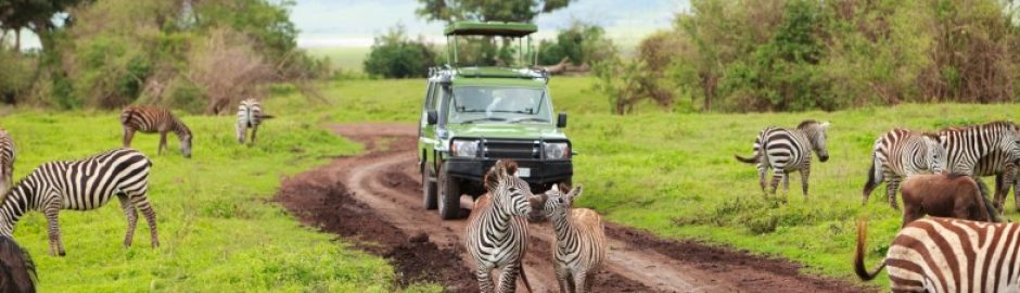 Private Tanzania Safari Packages