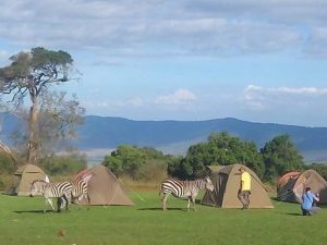 Affordable 6 Days Tanzania Camping Safari Tours