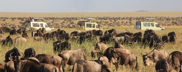 Short 3 Days Safari Masai Mara from Nairobi