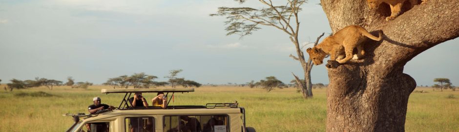 Tanzania Safaris with Kids