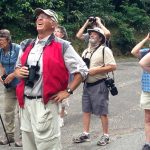 Bird Watching Experience