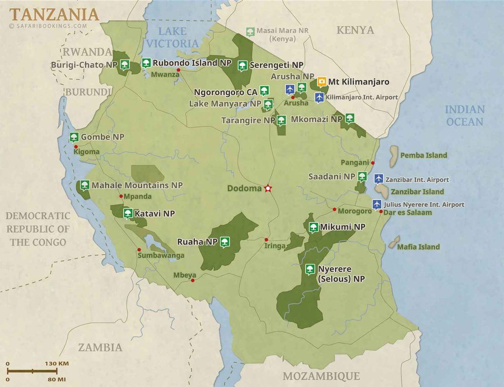 Private Birding Safaris in Tanzania