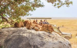 Tours to Tanzania and Zanzibar Beach