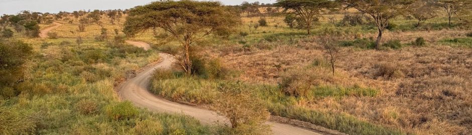 Affordable Serengeti Safari Tours & Packages