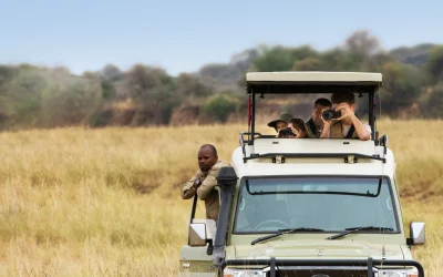 7 expert tips on safaris
